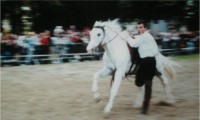 /album/galerie-de-photos-page-daccueil/courrir-%c3%a0-cote-2-jpg/